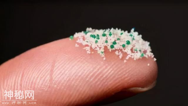 微塑料已进入人体！这是一个可怕的发现，生态圈已被塑料侵袭-1.jpg