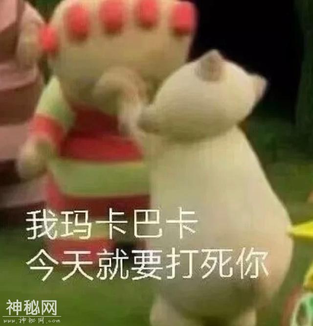 搞笑的表情包（12.8）-11.jpg