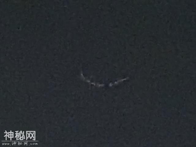不明飞行物现身台南上空，形状奇特还发光，是外星来“打招呼”？-1.jpg