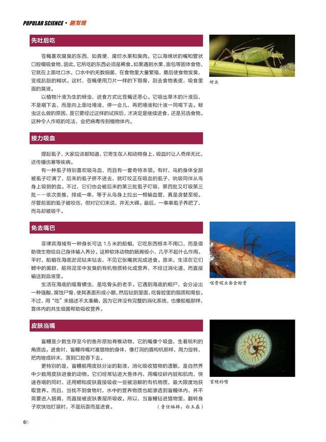 动物居然这样吃饭？！-4.jpg