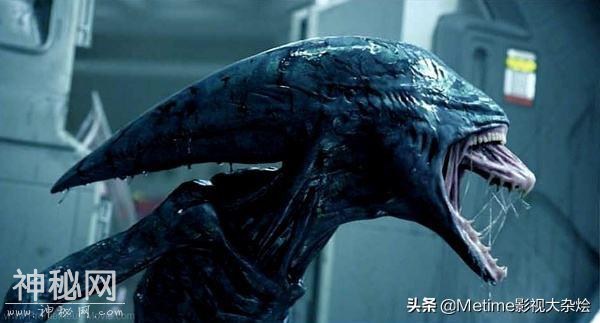 推荐10部恐怖片，丧心病狂多种题材系列-18.jpg