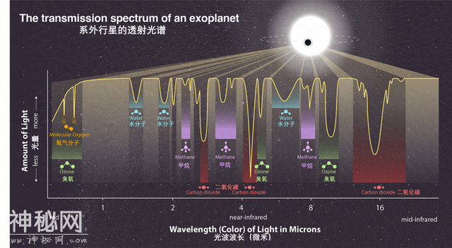 发现一个外星生命总共分几步？-1.jpg