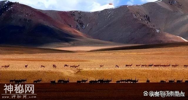国内无人区是哪四个？那个无人区最危险吗？-2.jpg
