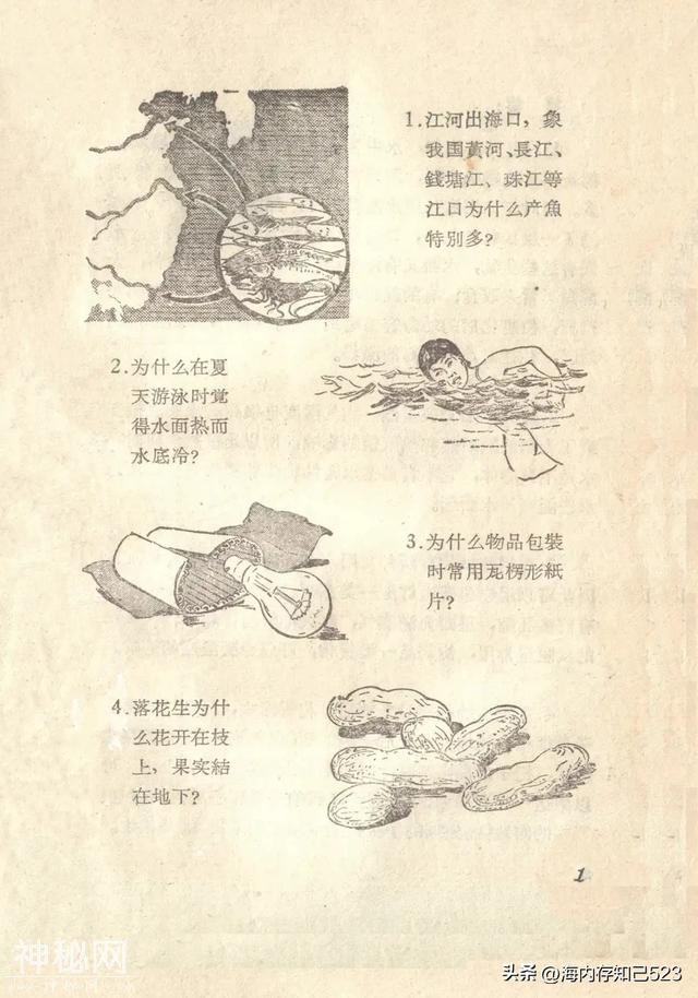 科学画报《为什么》上海科学普及出版社-2.jpg