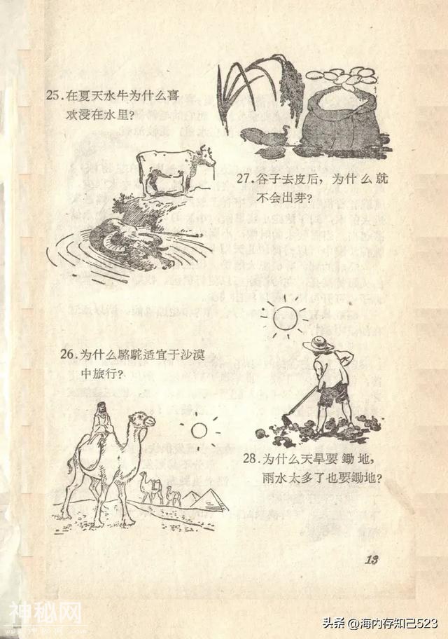 科学画报《为什么》上海科学普及出版社-14.jpg