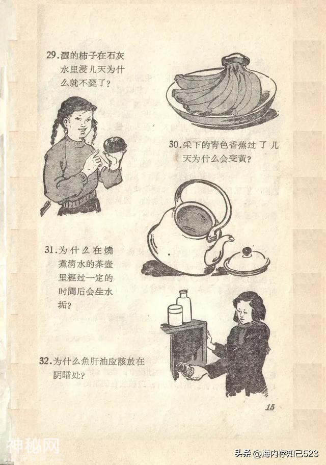 科学画报《为什么》上海科学普及出版社-16.jpg