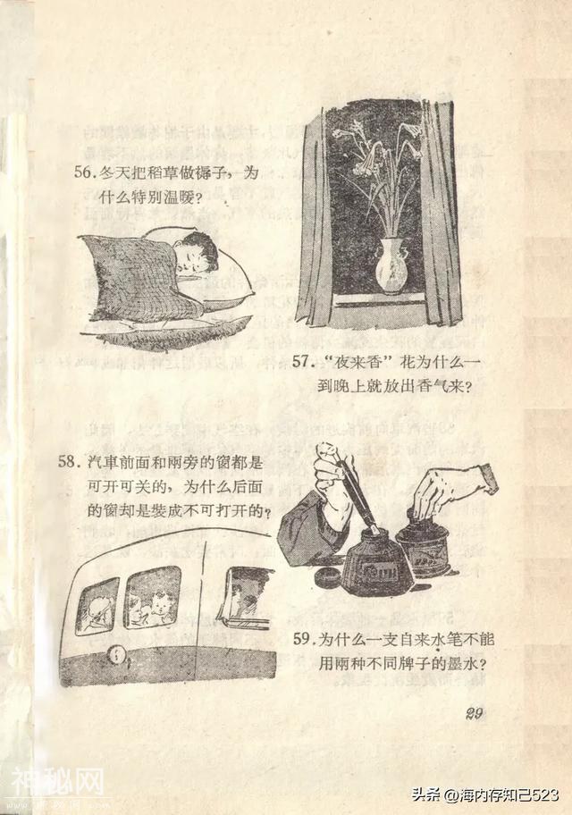 科学画报《为什么》上海科学普及出版社-30.jpg