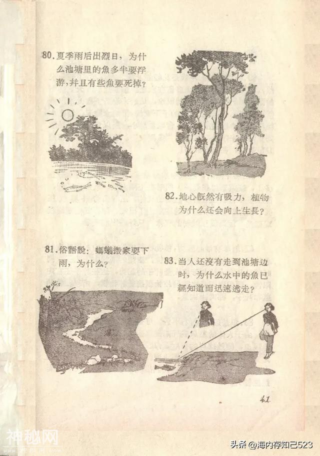 科学画报《为什么》上海科学普及出版社-42.jpg