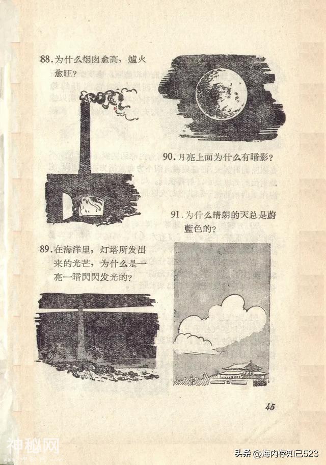 科学画报《为什么》上海科学普及出版社-46.jpg