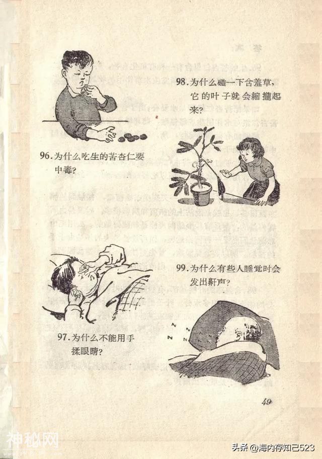 科学画报《为什么》上海科学普及出版社-50.jpg