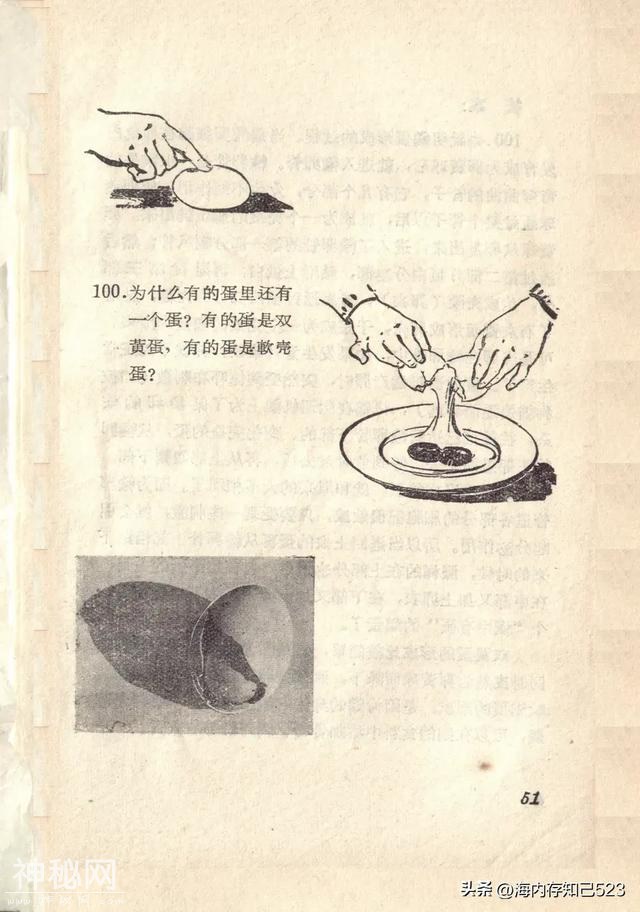 科学画报《为什么》上海科学普及出版社-52.jpg