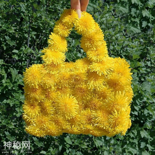 有点诱惑！外国美女设计师拍的“人体”艺术，够大胆，脑洞大开-33.jpg