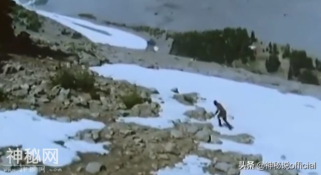 佳山再现“野人踪迹”，村民找到野人遗骸，浑身白毛身形巨大？-3.jpg