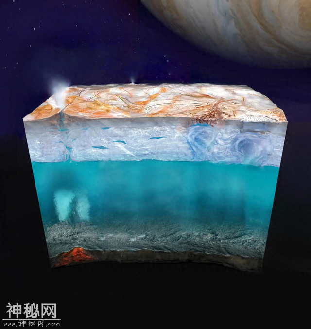 探寻外星生命，科学家为何要以地球生命为参照？-1.jpg