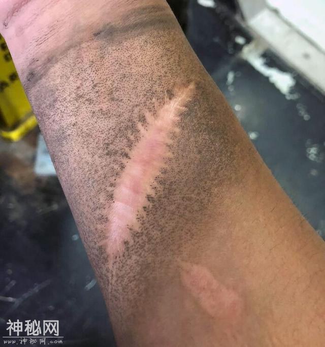 30张奇趣的人体照片：探索身体的神奇与怪异-2.jpg
