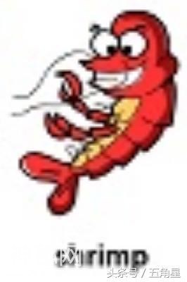 42个动物的英语单词！dolphin？lion？starfish？你都认识吗？-3.jpg