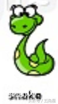 42个动物的英语单词！dolphin？lion？starfish？你都认识吗？-14.jpg