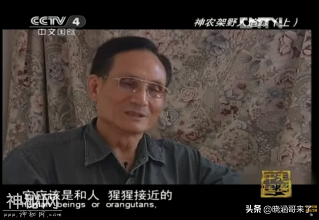 神农架野人之谜，民间千人目击，官方出动调查队大规模搜索-15.jpg