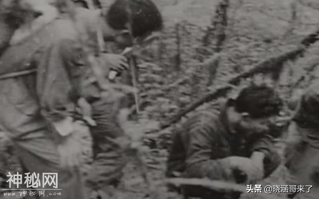 神农架野人之谜，民间千人目击，官方出动调查队大规模搜索-24.jpg