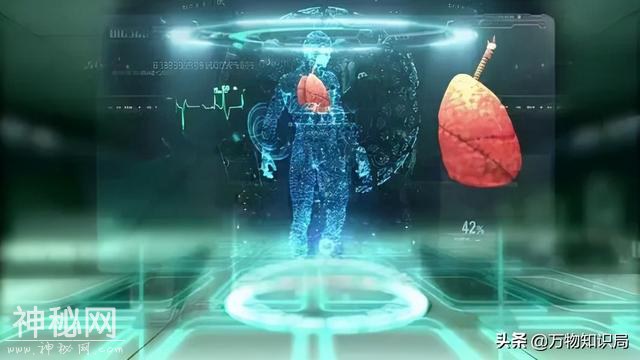人体最难解释的器官，复杂结构不输大脑，人的皮肤到底有多神奇-4.jpg