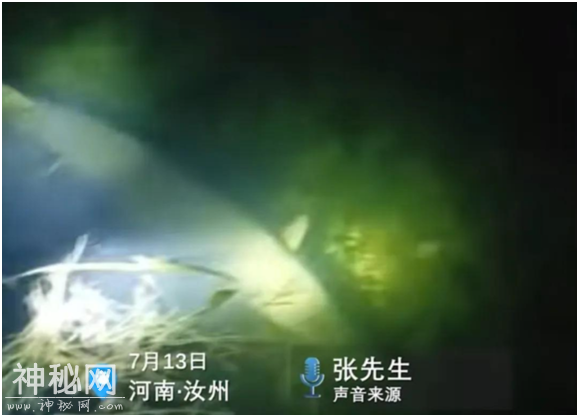 河南汝州惊现“水怪”，攻击性极强吓坏市民，究竟是何生物？-1.jpg