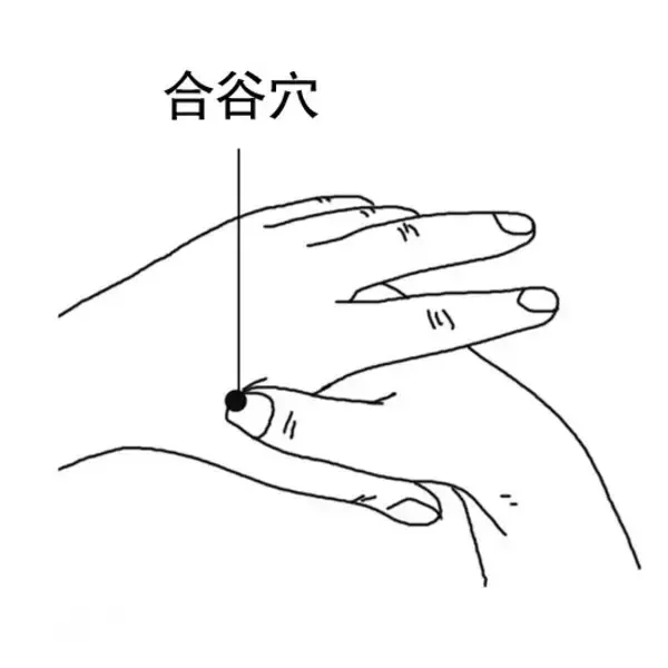养生不花钱！5大防病保健穴，每天按一按，从头到脚都健康-2.jpg