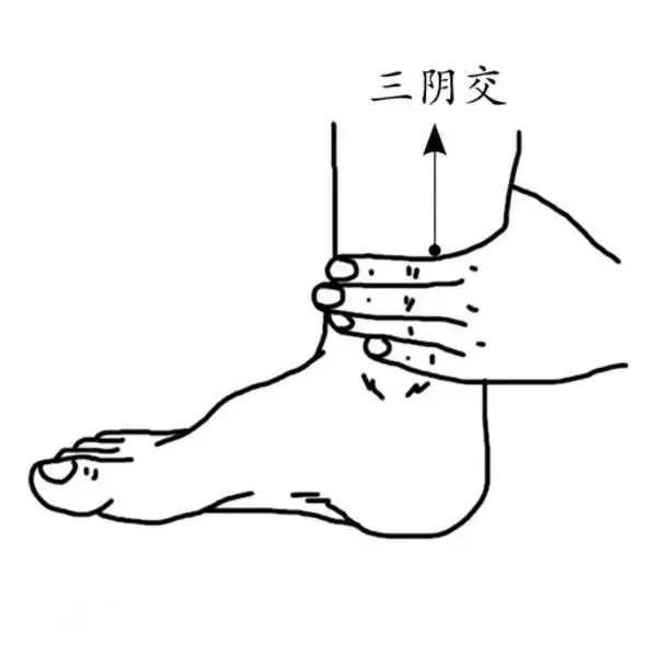 养生不花钱！5大防病保健穴，每天按一按，从头到脚都健康-4.jpg