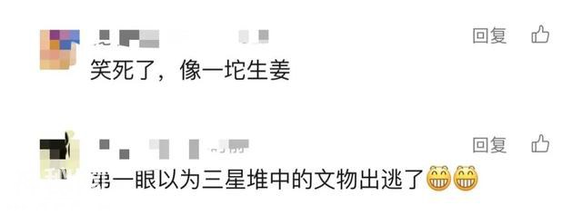 天空惊现不明飞行物&#34;破案&#34;了！网友：亲眼看着它落下-4.jpg