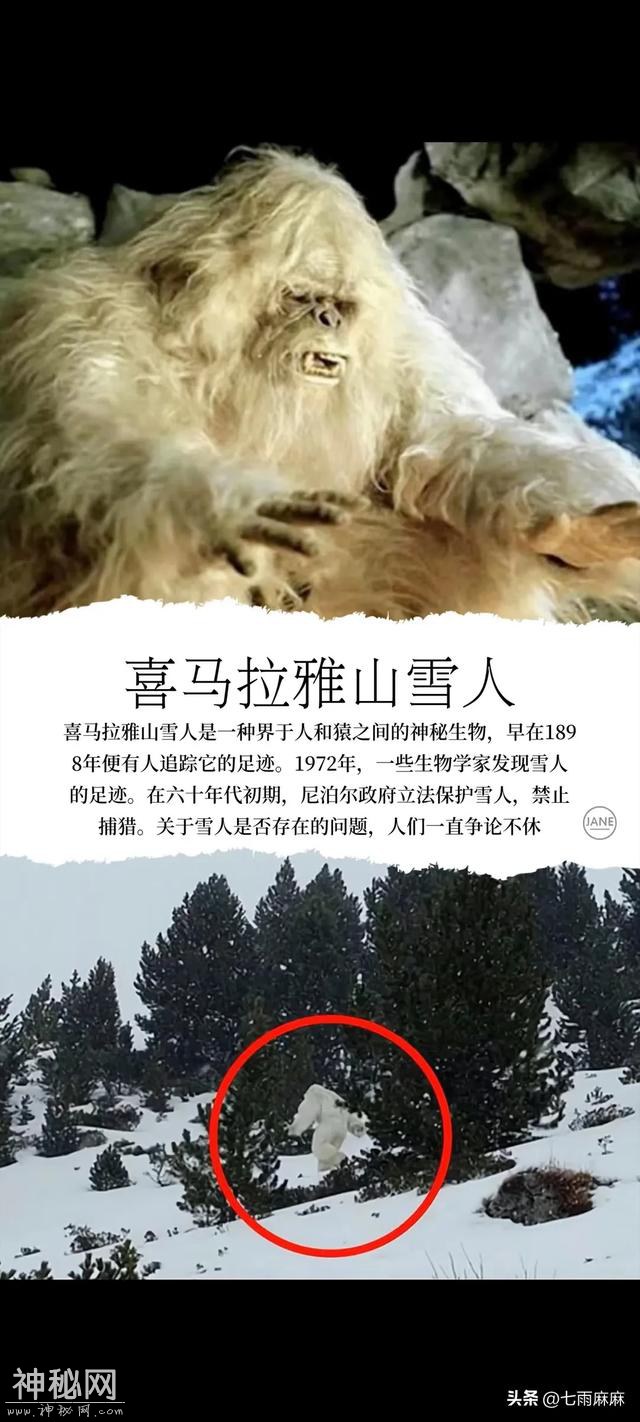 世界十大未知生物，你都知道几个？太恐怖了-8.jpg