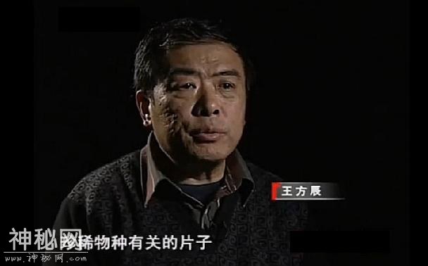 神农架“野人猴娃”发现始末，1997年挖出遗骨，贾兰坡：有点邪门-7.jpg