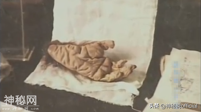 1957年浙江村庄现“野人”，村民抓住打死，一位老师把手脚制标本-3.jpg