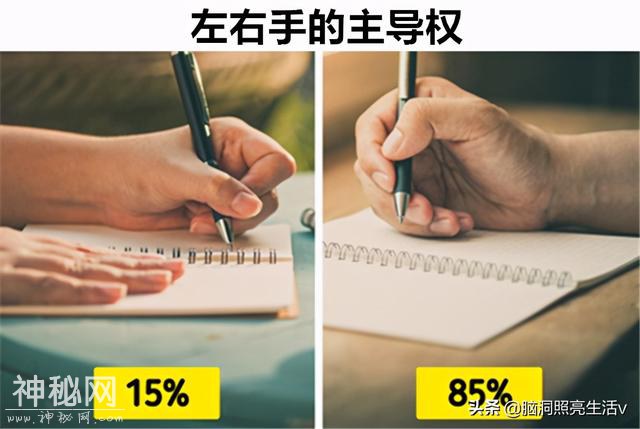 对于人体存在的8个神奇特征，甚至让许多科学家都无法解释-4.jpg
