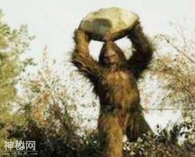 神农架野人频频出没？近千人声称见到野人，中国三次考察揭开真相-7.jpg