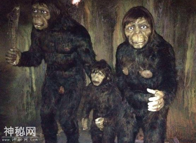 神农架野人频频出没？近千人声称见到野人，中国三次考察揭开真相-16.jpg