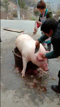 哈哈一笑，六十张搞笑动图：是先洗再揍，还是揍了再洗？-41.jpg