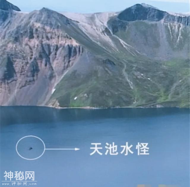 地球上 10 大未知生物-9.jpg