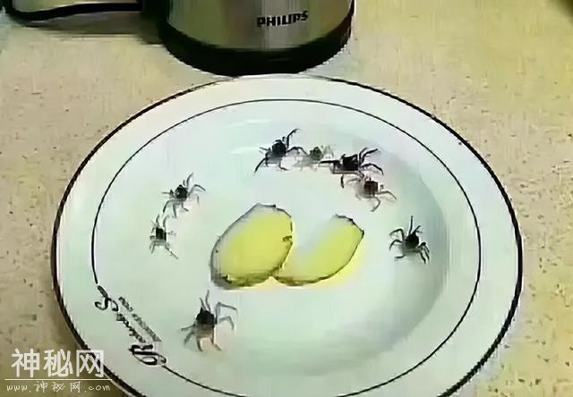 35张让人笑到头都快掉的搞笑图片-17.jpg