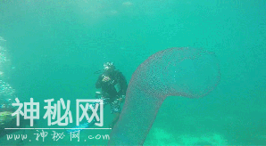 这十个奇特的海洋现象，你都知道吗？-9.jpg