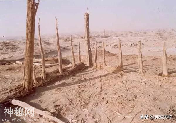 1996年6月，余纯顺穿越罗布泊遇难，六月的罗布泊为何如此可怕？-6.jpg