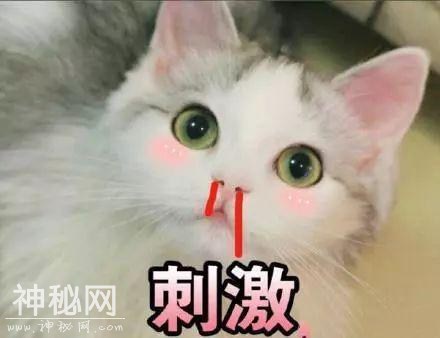 昨晚，多地居民看到“不明飞行物”？专家解释来了-6.jpg