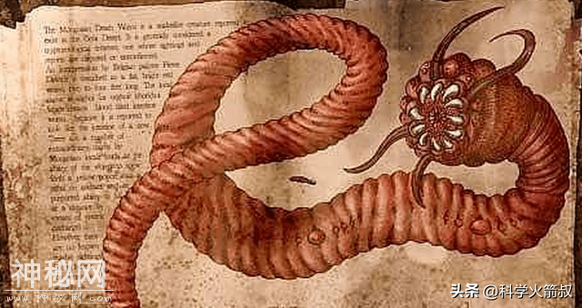 未知生物大盘点！-5.jpg