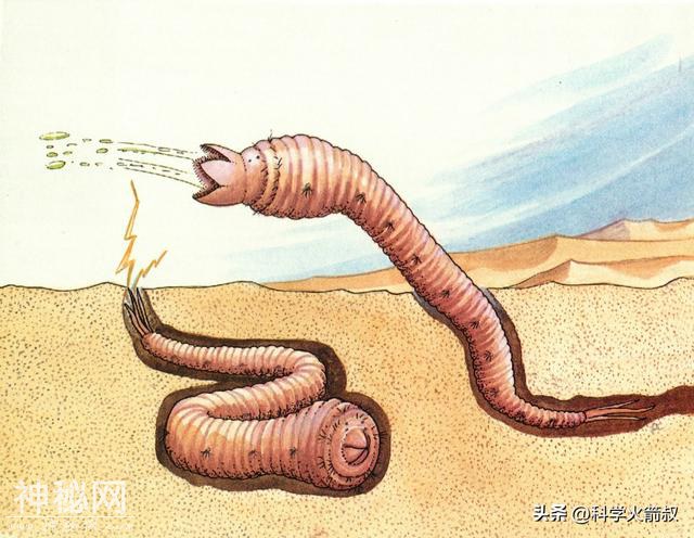 未知生物大盘点！-6.jpg