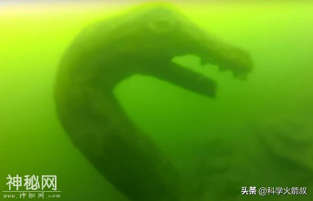 未知生物大盘点！-7.jpg