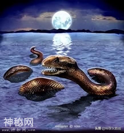 未知生物大盘点！-8.jpg