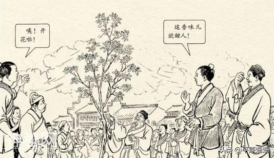江湖上的奇人奇事？-11.jpg