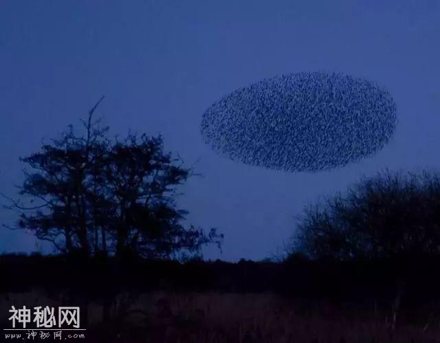 【气象科普知识】20个罕见的自然现象，你可能一个都没见过！-7.jpg