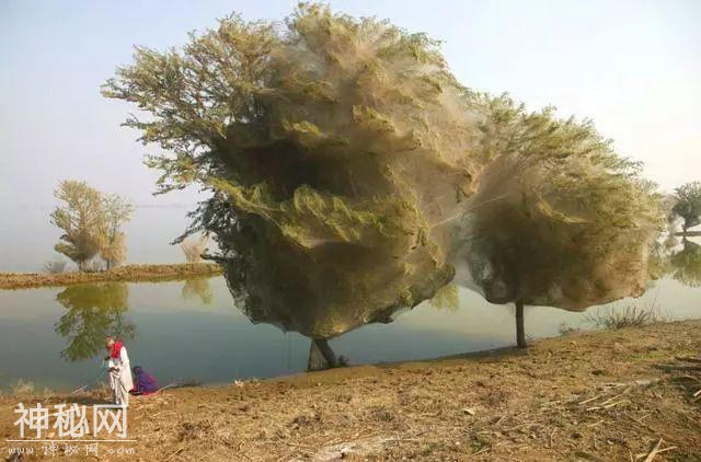 【气象科普知识】20个罕见的自然现象，你可能一个都没见过！-9.jpg