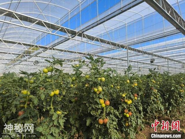 滇东北崛起科技新高地-2.jpg
