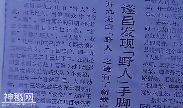 1957年浙江惊现“野人”，村民打死并吃掉，一位老师把手脚制标本-8.jpg