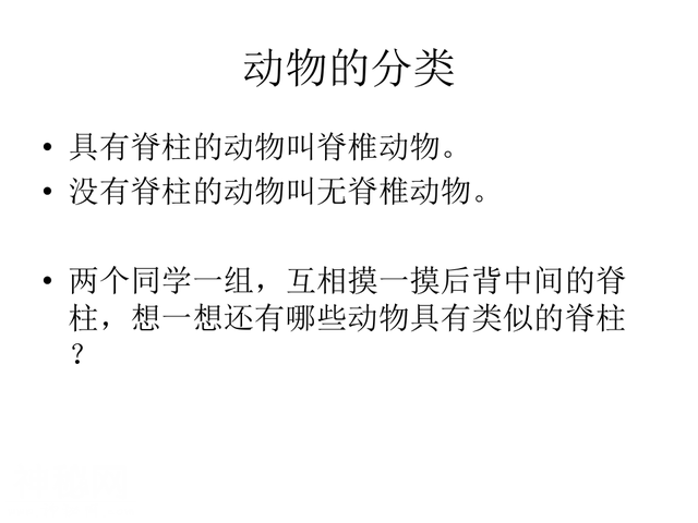 4种类繁多的动物-L-18.jpg